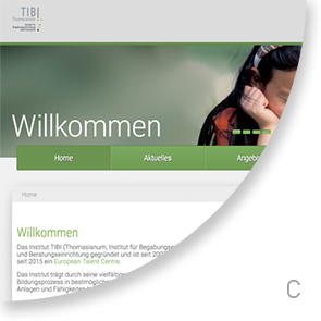 website tibi